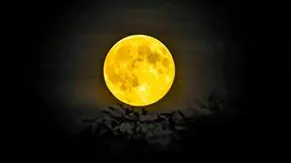 Wyjątkowa superpełnia Księżyca na zdjęciach