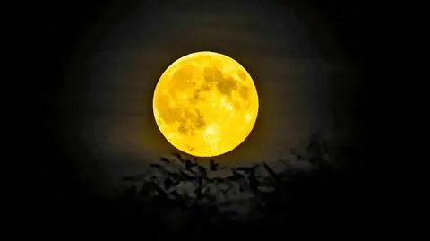 Bobrzy Superksiężyc, Dąbrowa Tarnowska (Małopolskie)