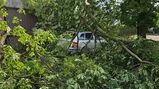 Skutki dzisiejszej burzy, która przeszła nad Piłą (Wielkopolskie)