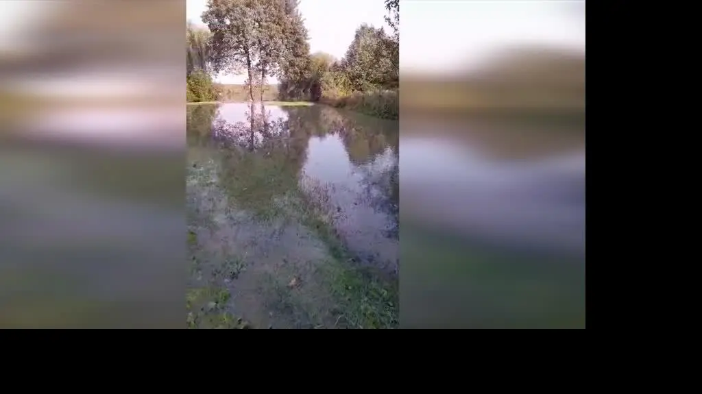 70a1970d-3a67-4be2-9320-832c443dca98_opolskie