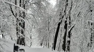 Lesko (Podkarpackie)