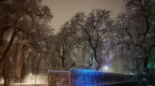 Zima w Kościanie