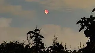 Krwawy Księżyc nad Szczecinem