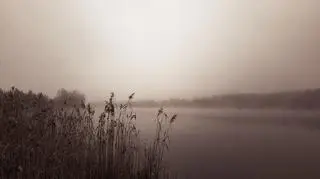 Stęszew (Wielkopolskie)