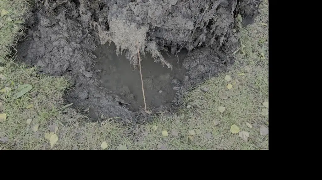 a57a32ec-f736-4667-aa08-ddbe1e0ab16d_20240915_080407