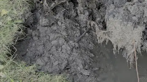 a57a32ec-f736-4667-aa08-ddbe1e0ab16d_20240915_080407