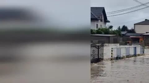 33df92ba-2c23-4abb-84b1-1ff92f3f1ccc_lubomia3