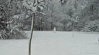 Nowy Sącz (Małopolskie)