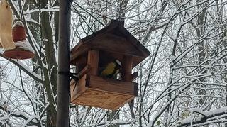 Jaworzno (Śląskie)