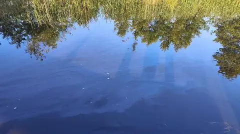 Rzeka Wkra, Lubowidz (Mazowieckie)