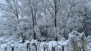 Śnieg na Podkarpaciu