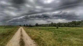 Chwilę przed burzą, Siemiony