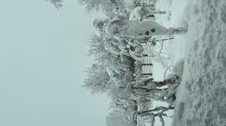 Dębica (Podkarpackie)