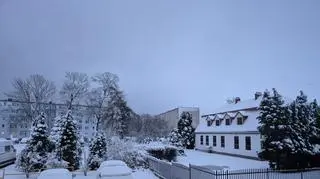 Puck budzi się pokryty białym puchem 
