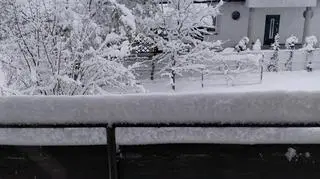 Zima w okolicach Jasła (Podkarpackie)