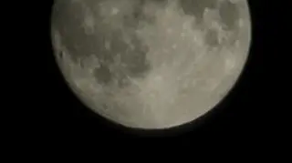 Pełnia Bobrów, Warszawa