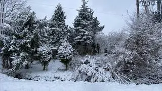 Tenczynek (Małopolskie)