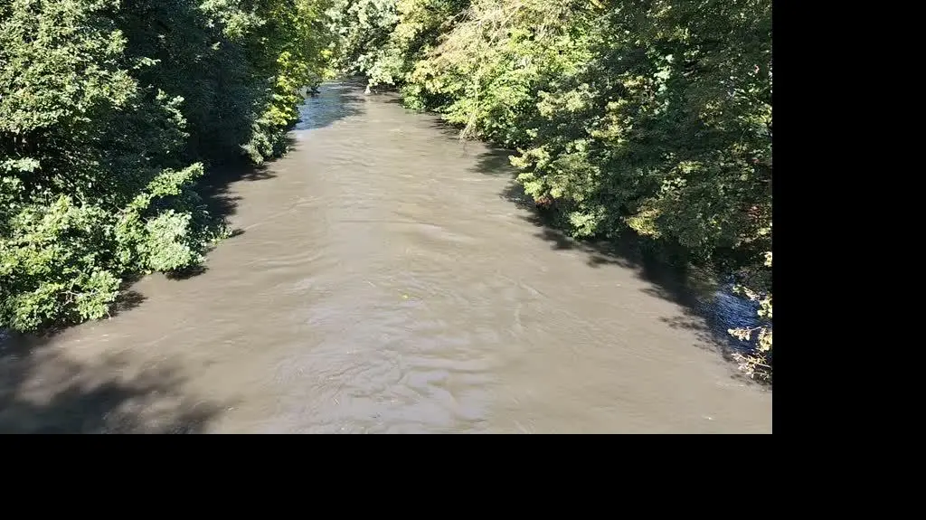 a381e577-98a8-4066-b02c-8121b92bf9ac_inbound930411982047590199