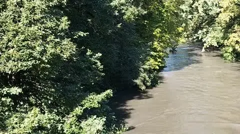 a381e577-98a8-4066-b02c-8121b92bf9ac_inbound930411982047590199