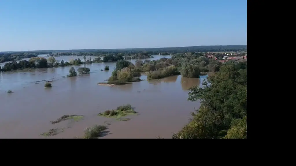 edb3a262-123a-40e4-accf-4d3cff8bdf6a_4-1-1