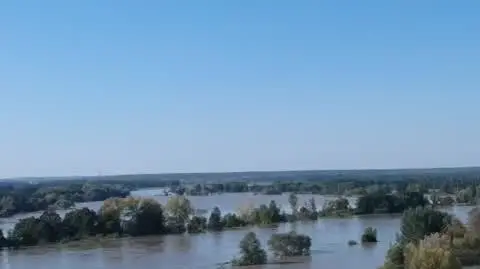 edb3a262-123a-40e4-accf-4d3cff8bdf6a_4-1-1