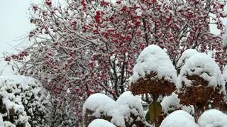 Pierwszy śnieg, Ornontowice (Śląskie)