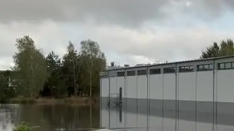 53e912e0-e57d-43bc-a60d-ace18d721217_supermarket