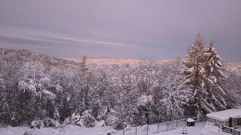 Gmina Mogilany (Małopolskie)