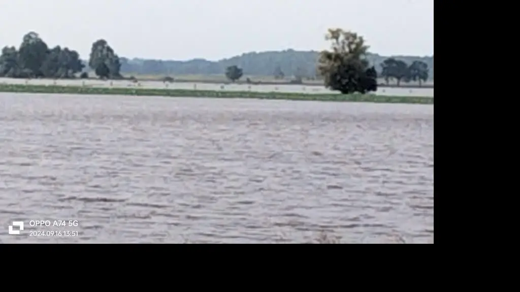 241df3b2-5802-4e3f-a956-d205b17a9236_VID20240916135120