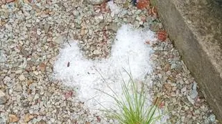 Potężna ulewa w Zakopanem