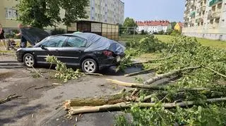 Skutki dzisiejszej burzy, która przeszła nad Piłą (Wielkopolskie)