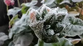 Dzisiejszy poranek na Mazurach