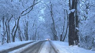 Śnieg w Poznaniu od samego rana 