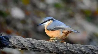 Wszystkich Świętych w jesiennej scenerii