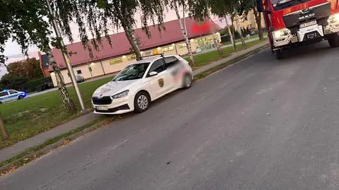 Akcja służb, Budziszów Wielki (Dolnośląskie)