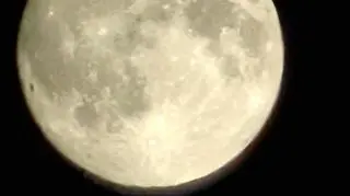 Pełnia Bobrów, Warszawa