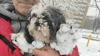 Zima w Jaworznie (Śląskie)