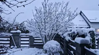 Za oknem w Siemianowicach Śląskich