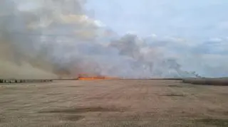 Pożar w Biebrzy, Krasnybór