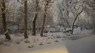 Pierwszy śnieg w Wągrowcu