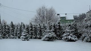 Zima w miejscowości Zarudzie (Lubelskie)