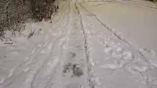 Drugi śnieg w Gdańsku