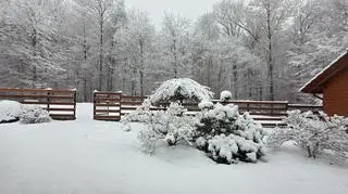 Zima w Nowym Sączu (Małopolskie) 