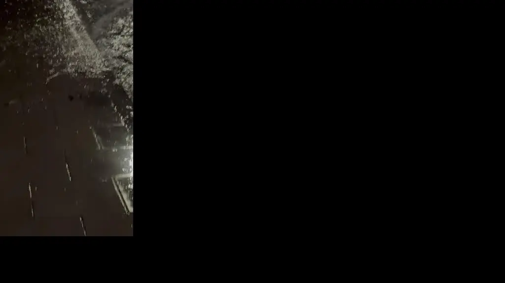 809a0119-e7c8-4414-b24f-06940de00760_IMG_5630