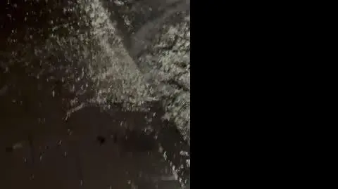 809a0119-e7c8-4414-b24f-06940de00760_IMG_5630