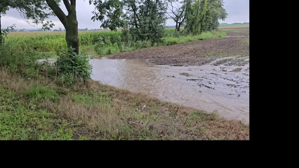 5e6f18bd-08c3-40f3-8147-a02a7ccf41cc_20240916_091631