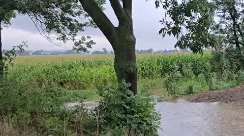 5e6f18bd-08c3-40f3-8147-a02a7ccf41cc_20240916_091631