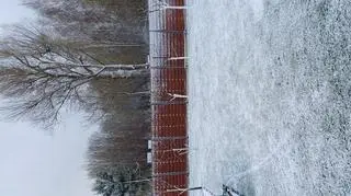 Wiosna w Olsztynie 