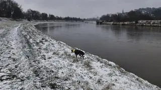 Zima, Przemyśl nad Sanem (Podkarpackie)