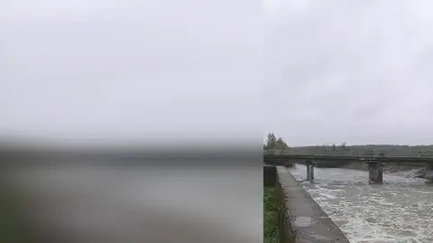 cb46e0e9-89ed-4618-8cac-1e79810223e2_bystrzyca